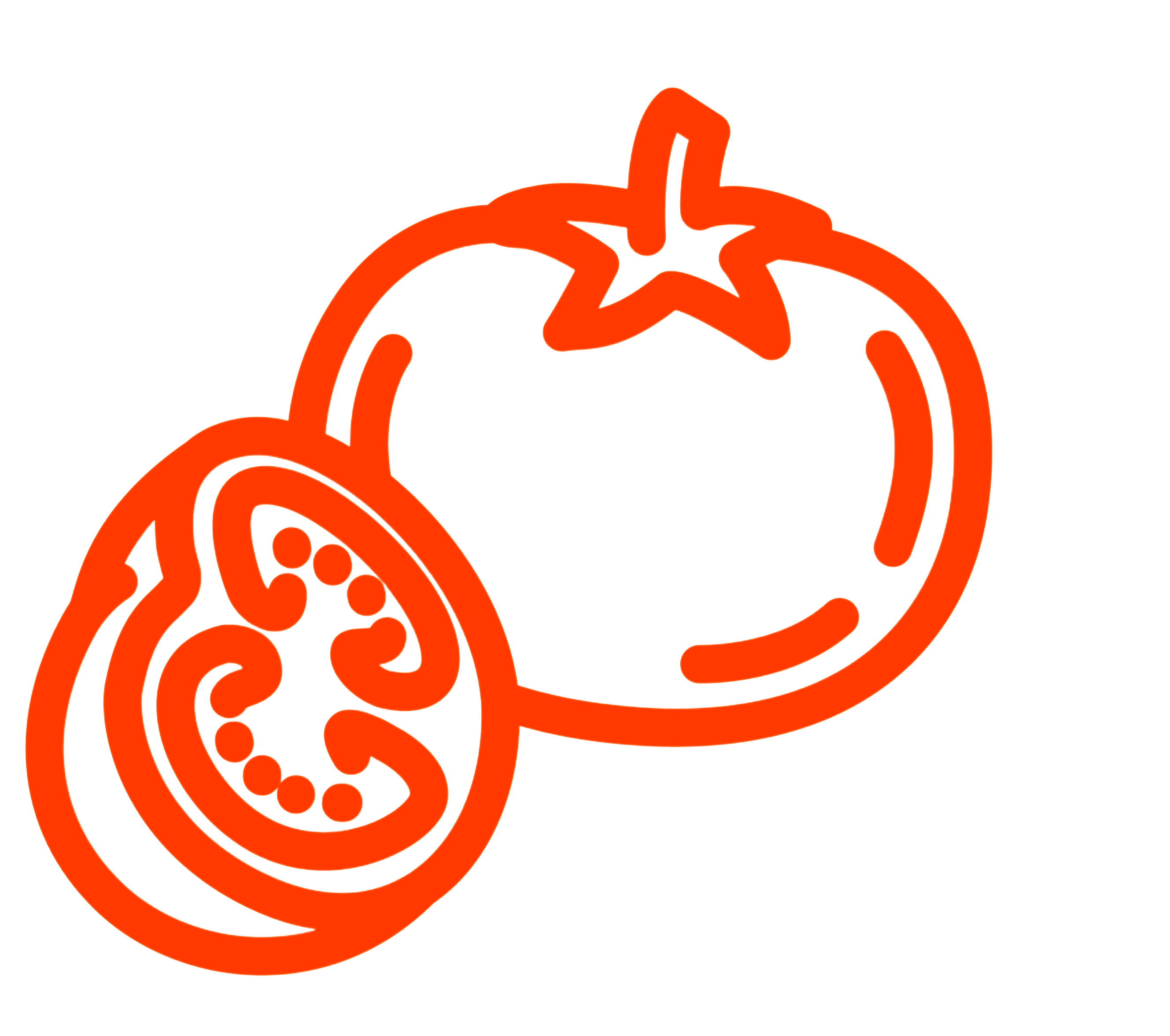 rajčata 